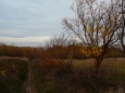toamna in caragiale
